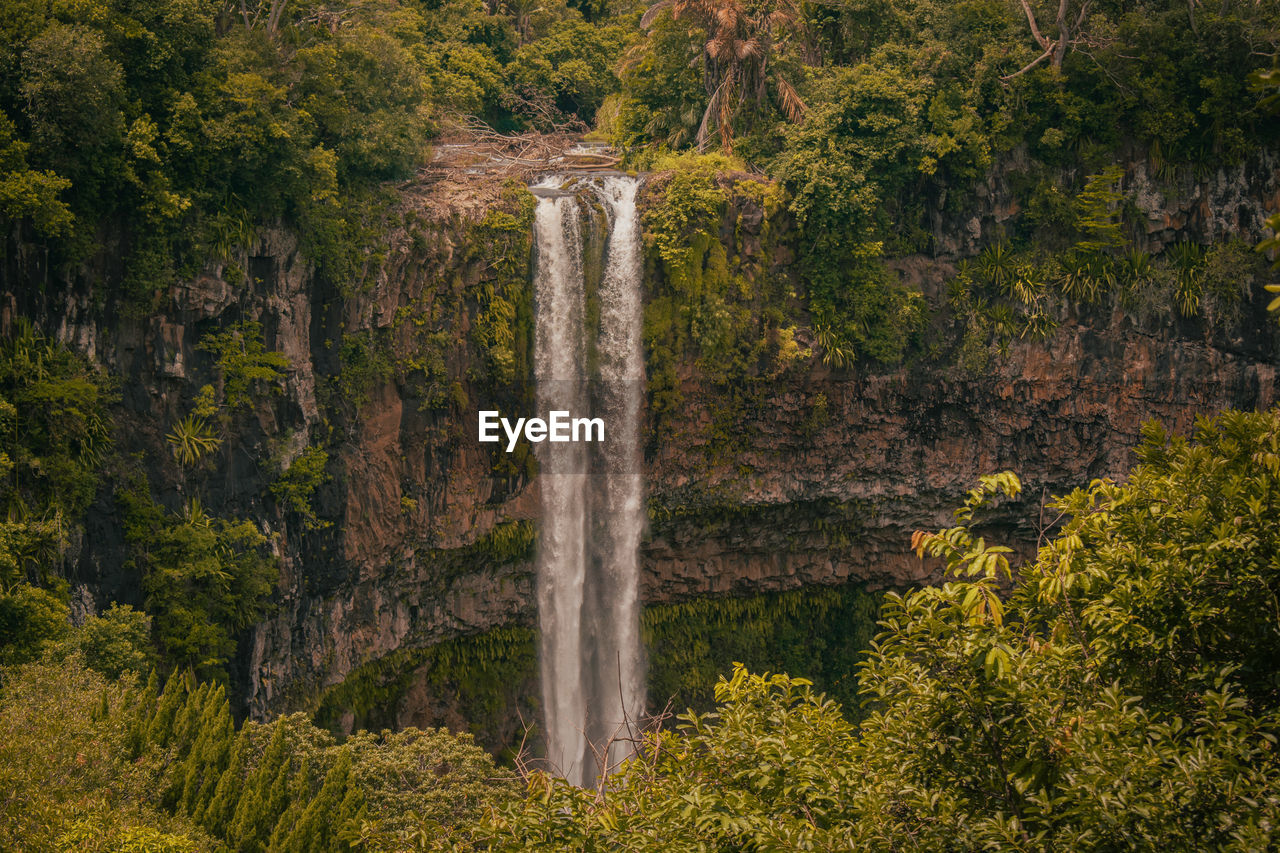 Scenic view of waterfall in forest