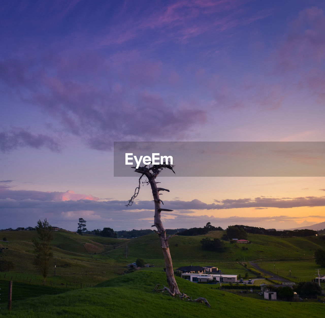 SCENIC VIEW OF FIELD AGAINST SKY DURING SUNSET