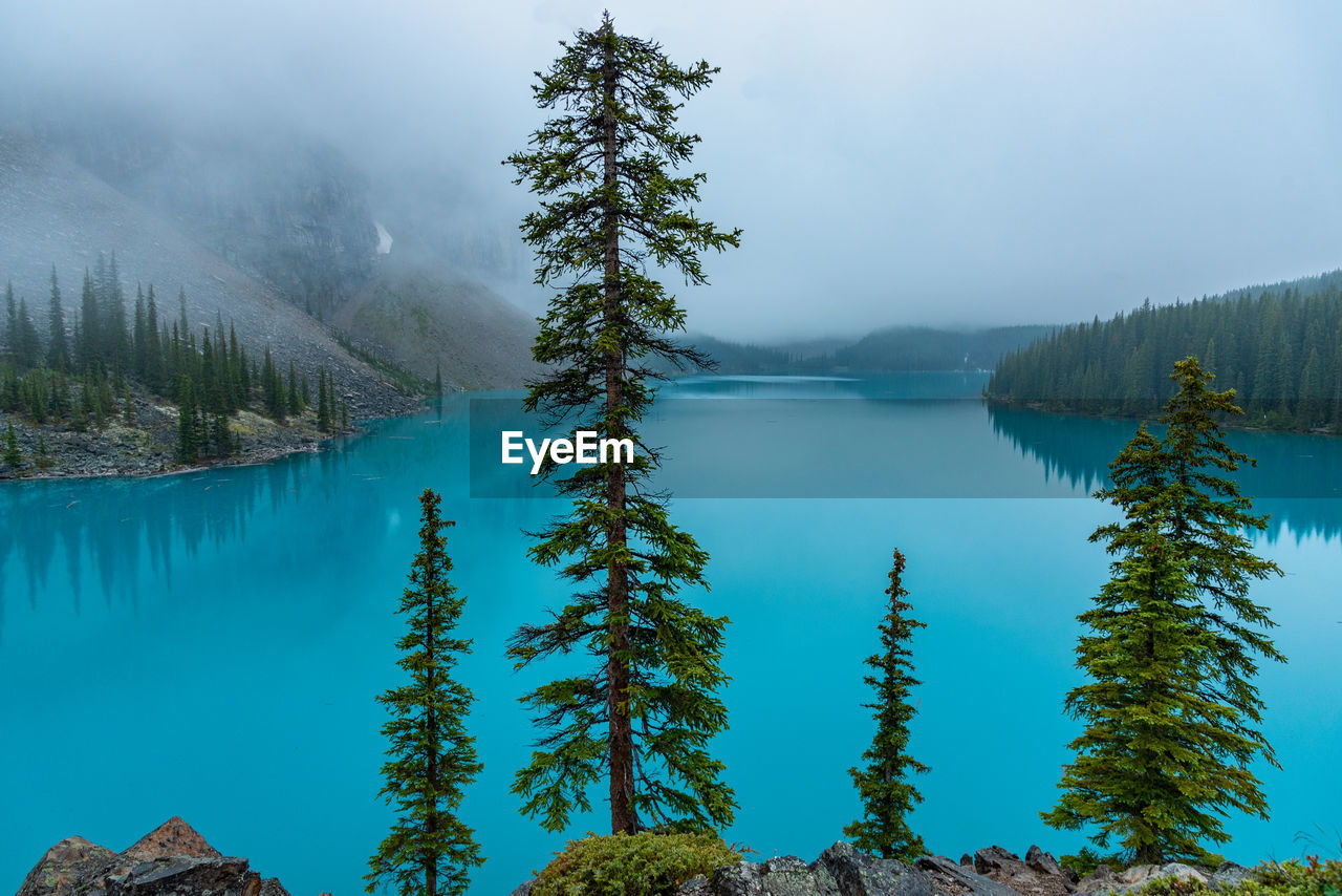 SCENIC VIEW OF LAKE BY TREES AGAINST SKY