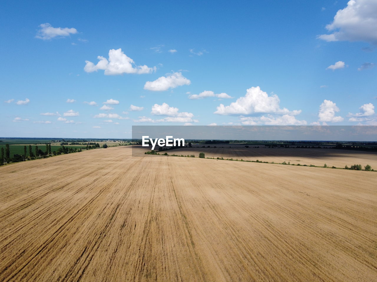 FIELD AGAINST SKY