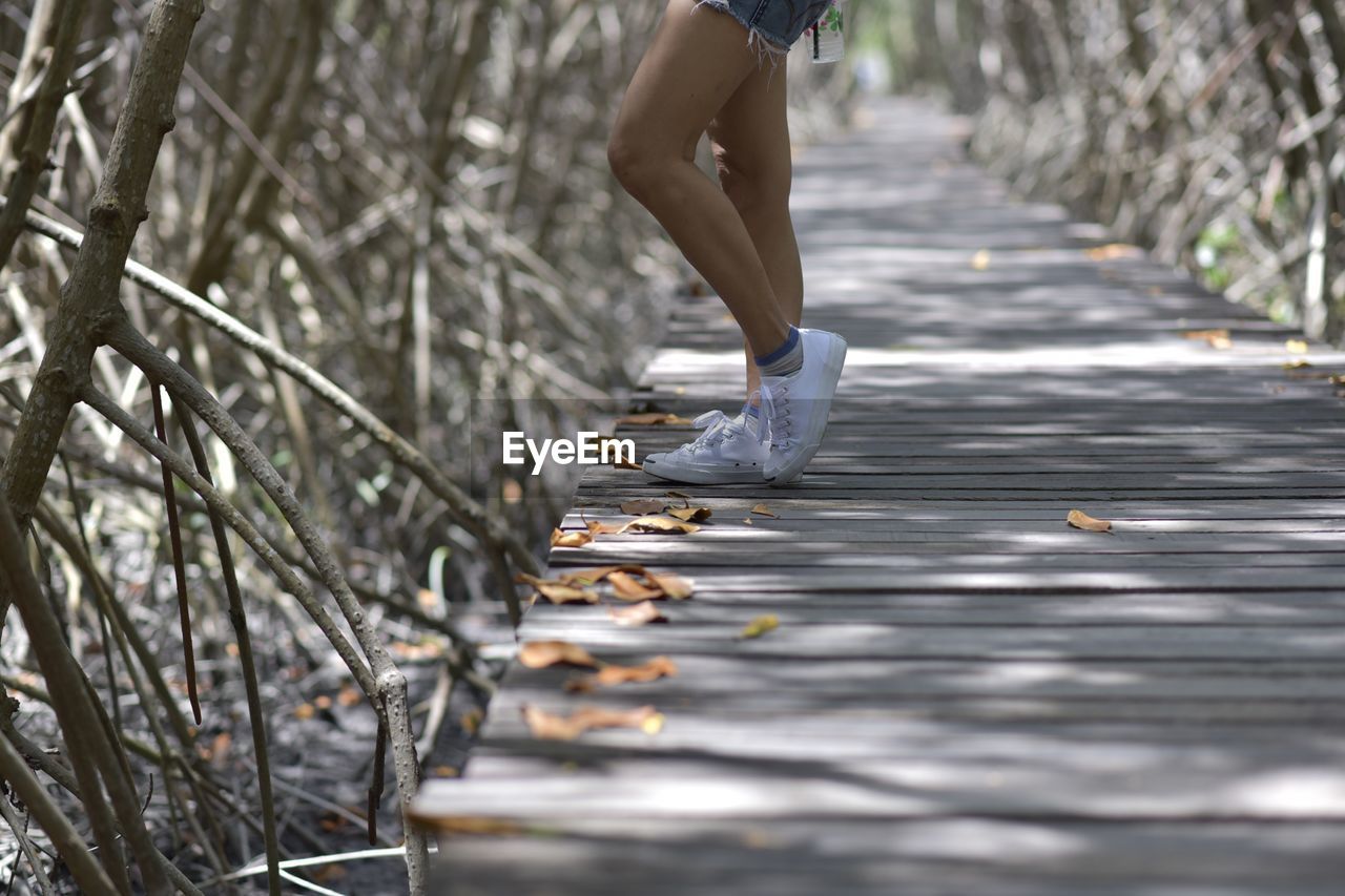 Low section of woman standing on boardwalk