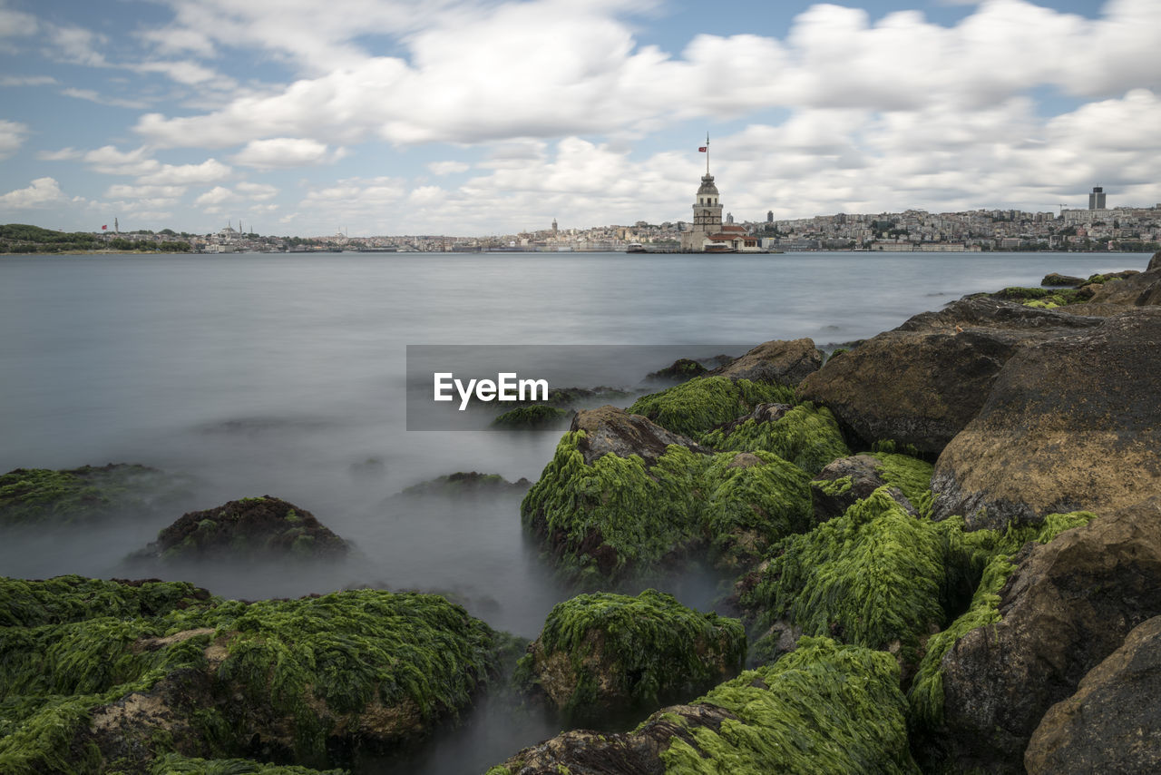 Seaweed on rock by river against buildings and cloudy sky