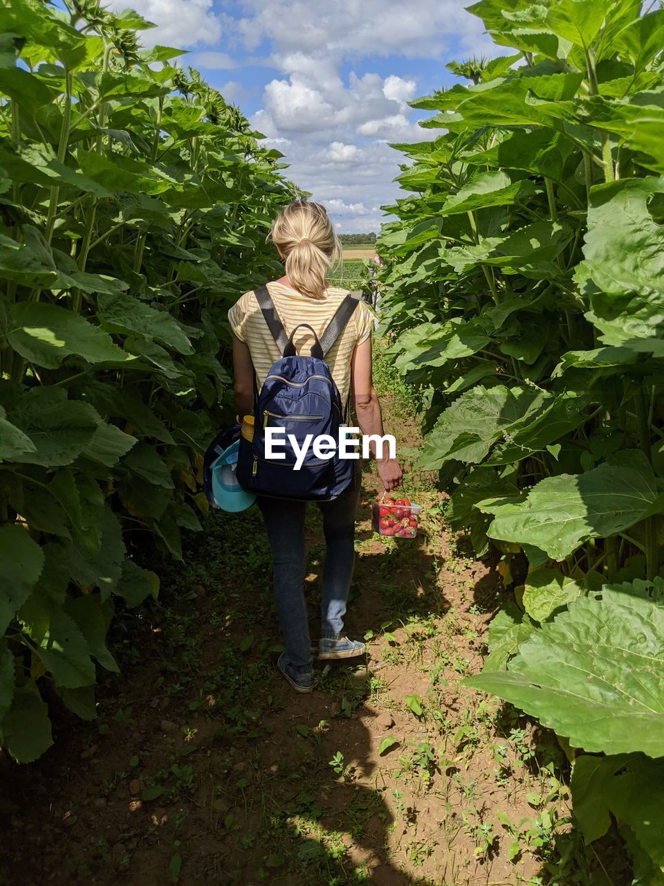 Rear view of woman walking in farm