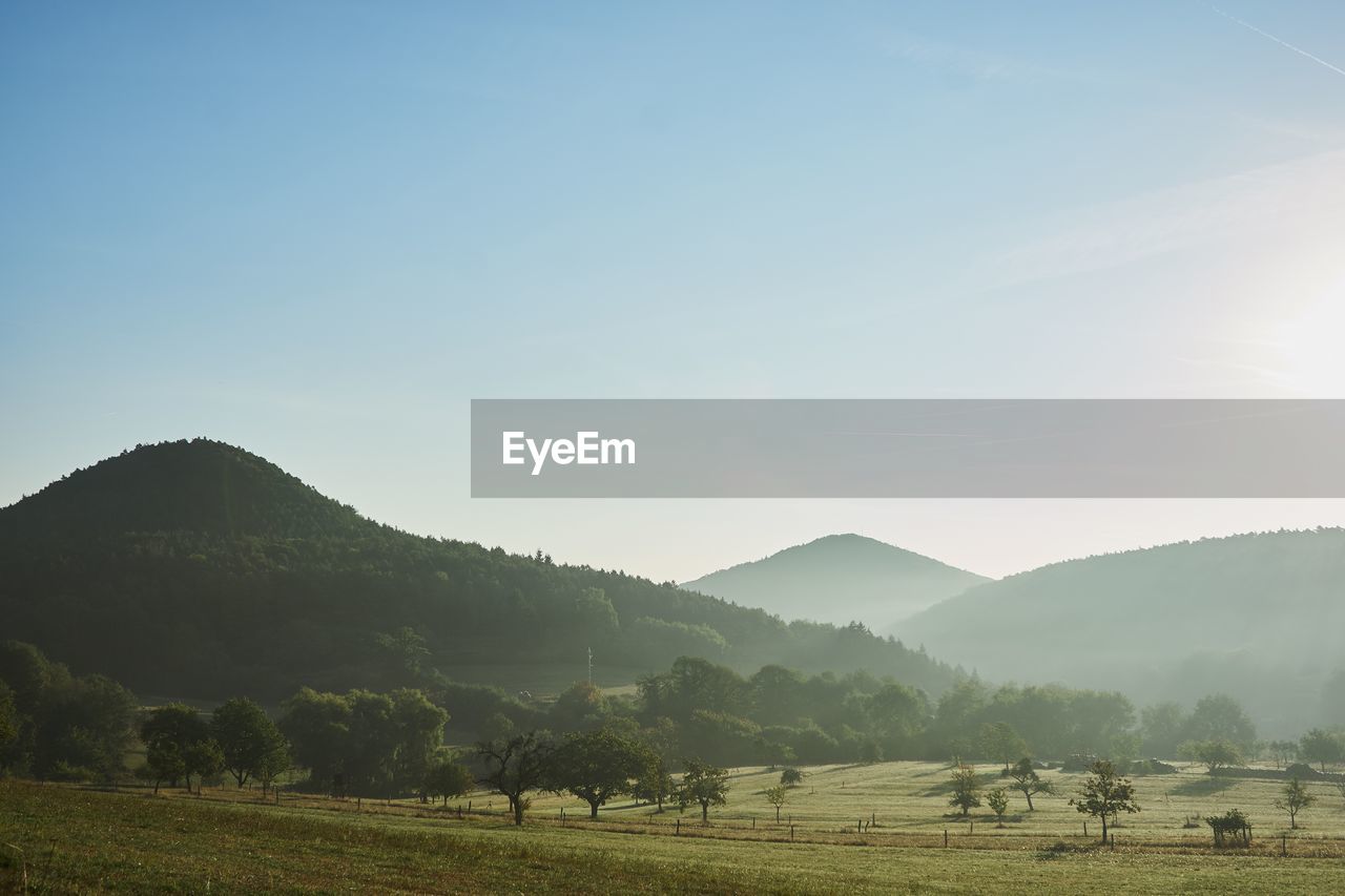 Scenic view of field against clear sky