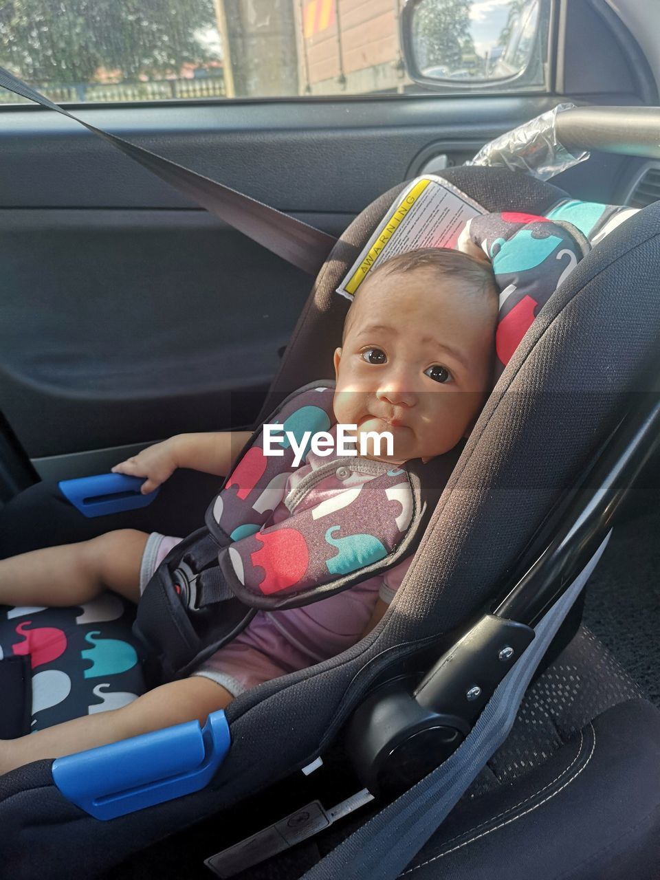 Portrait of cute girl sitting in car