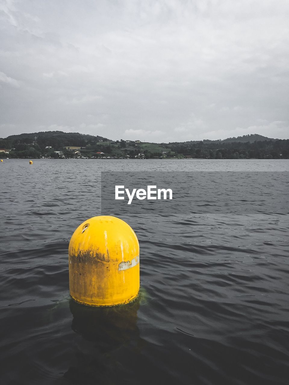 CLOSE-UP OF YELLOW FLOATING ON WATER