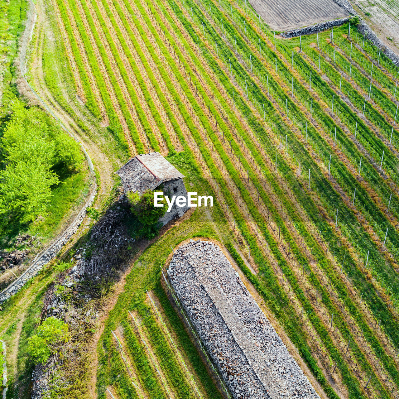 HIGH ANGLE VIEW OF FARM