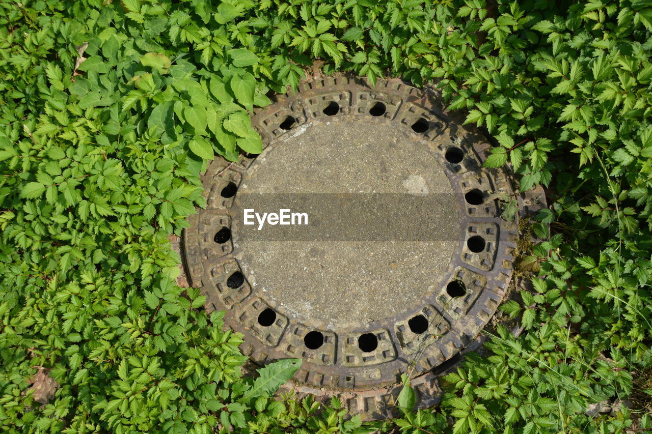 High angle view of sewage amidst plants during sunny day