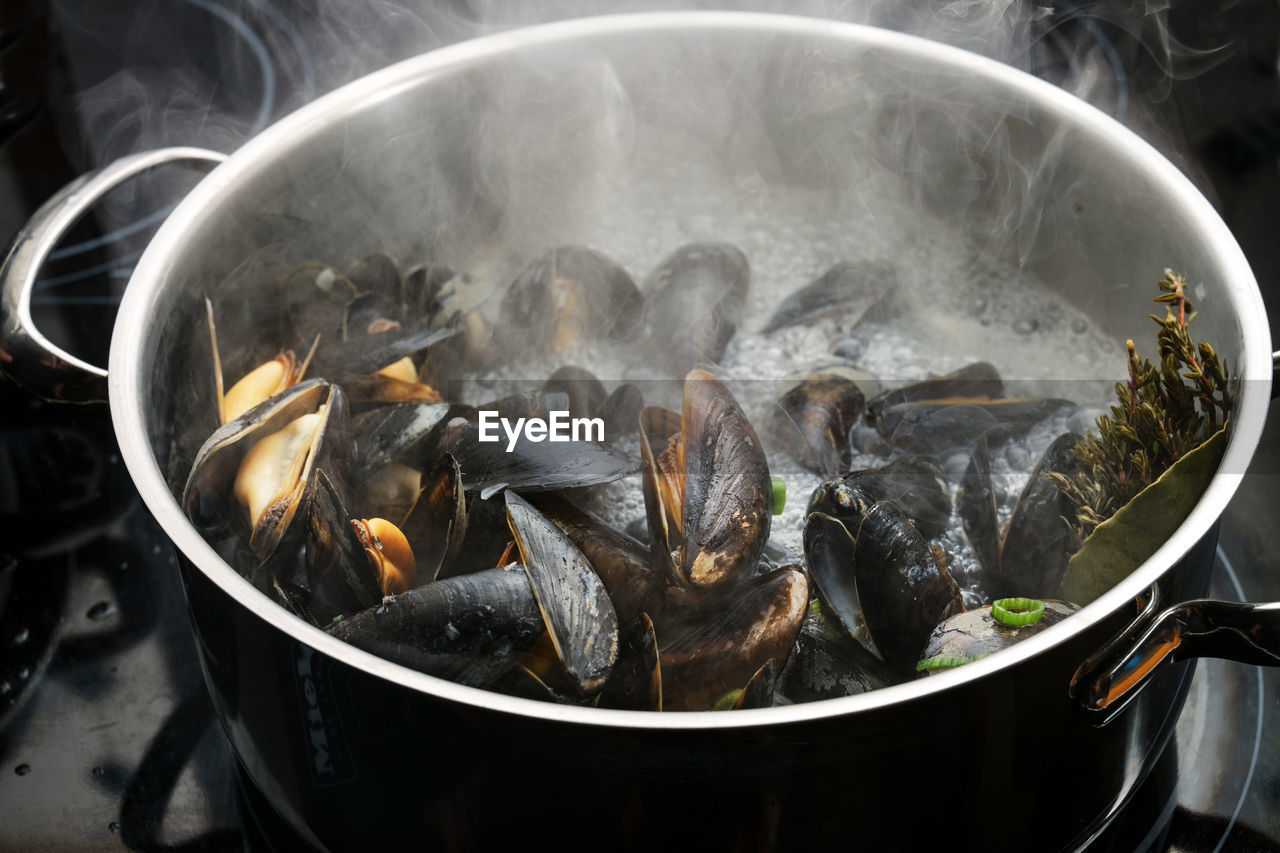 HIGH ANGLE VIEW OF SEAFOOD IN CONTAINER