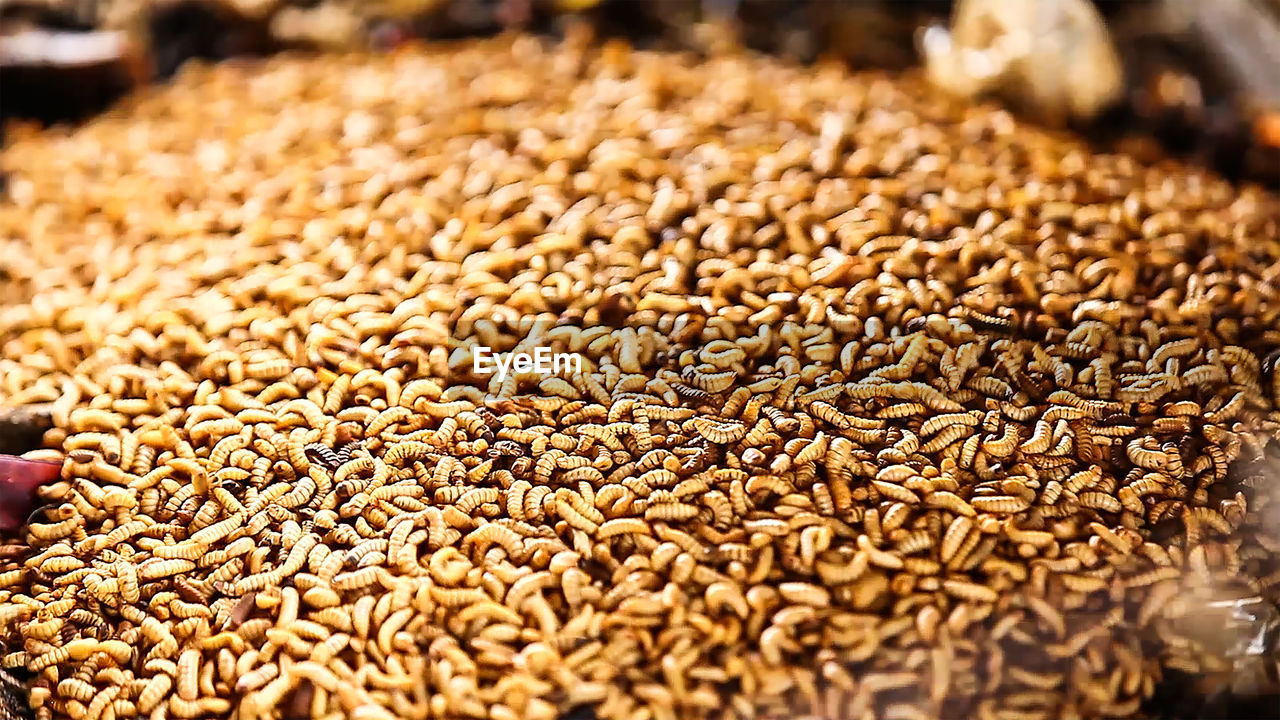 Close-up of food for sale in market