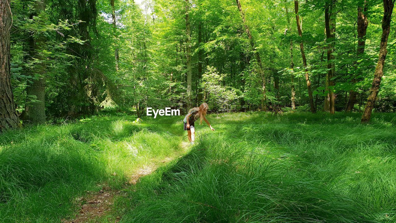 Full length of girl walking amidst plants in forest