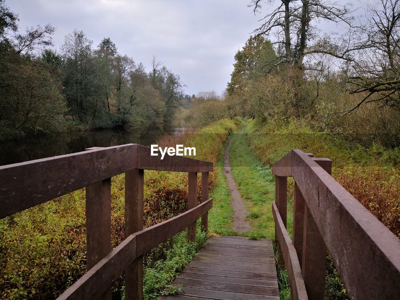 WOODEN FOOTBRIDGE AMIDST TREES IN FOREST