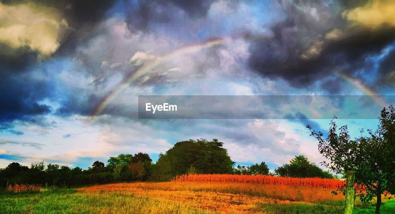 sky, cloud, landscape, environment, plant, nature, beauty in nature, land, tree, field, scenics - nature, rural scene, multi colored, agriculture, tranquility, morning, dramatic sky, no people, sunlight, storm, crop, growth, horizon, meadow, tranquil scene, outdoors, grass, prairie, panoramic, grassland, storm cloud, farm, cloudscape, green, non-urban scene, dusk