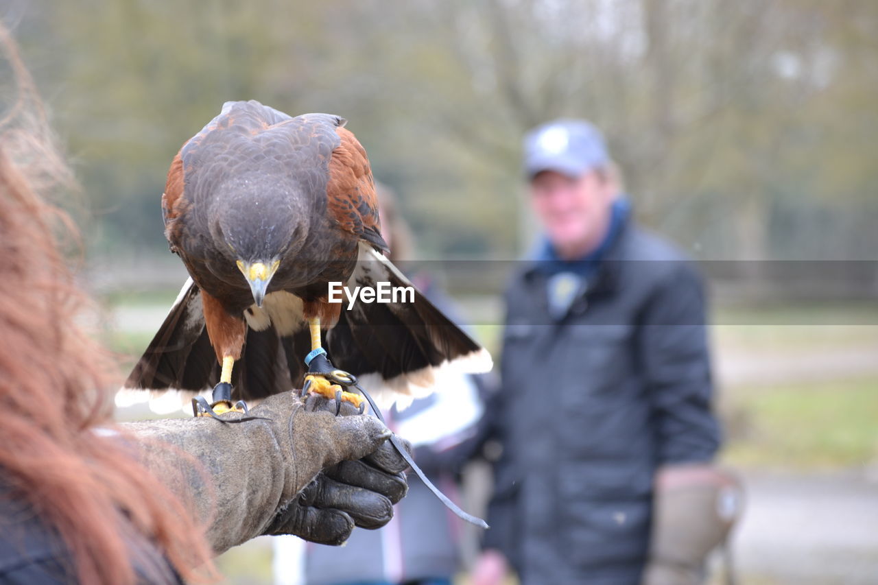 MAN HOLDING BIRD PERCHING ON LEAF