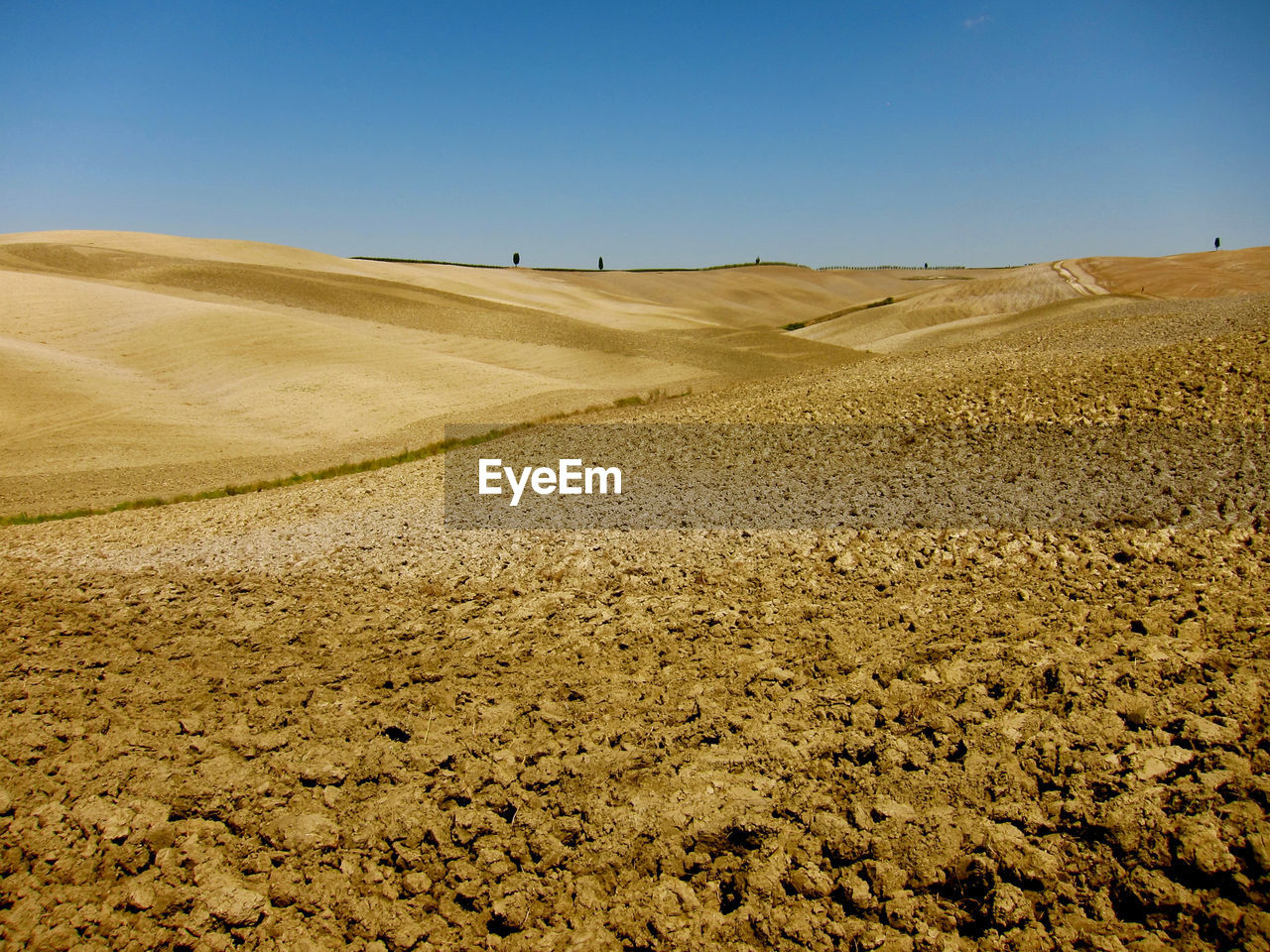 Scenic view of field against clear blue sky