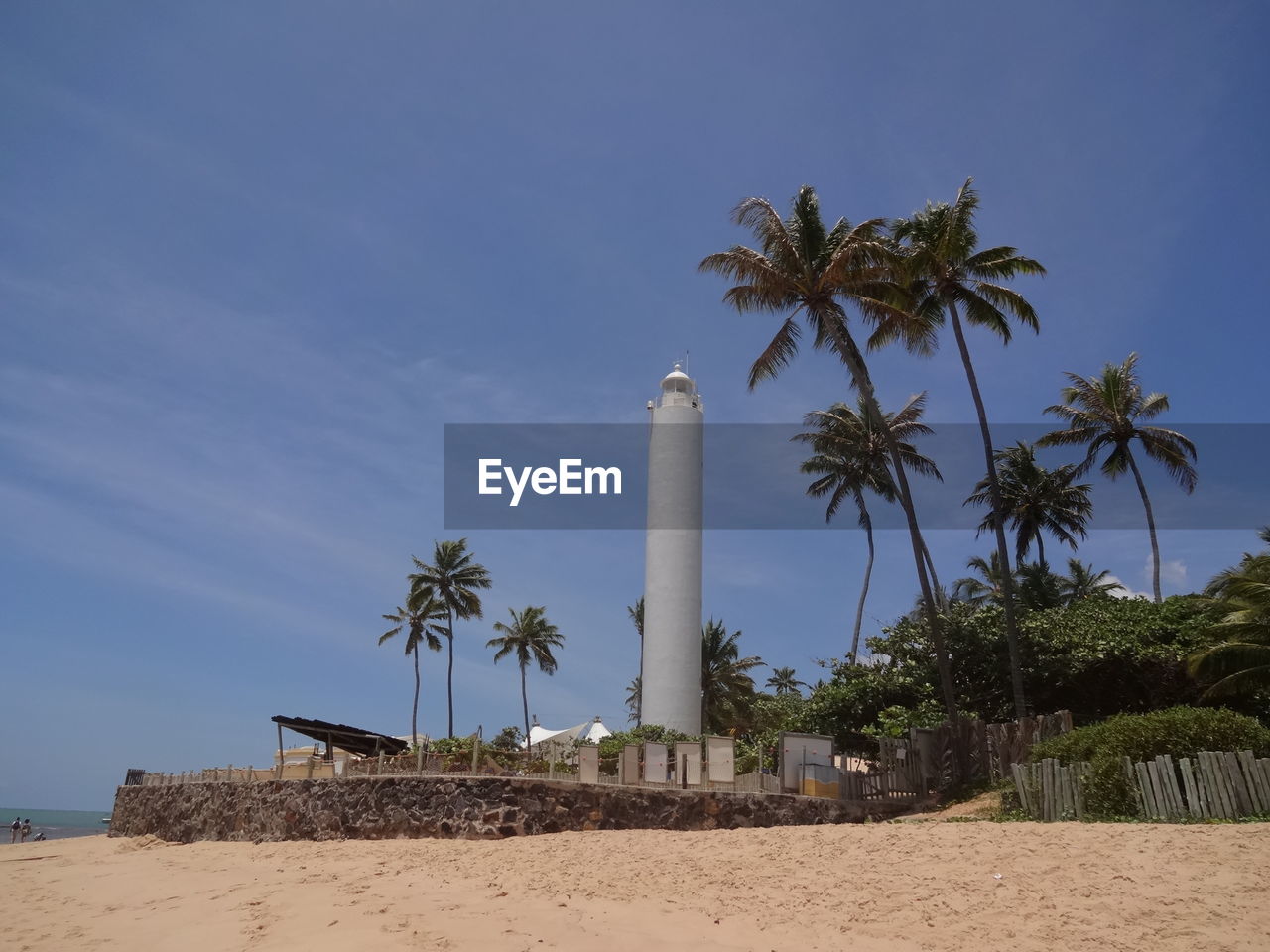 PALM TREES AGAINST BUILT STRUCTURE