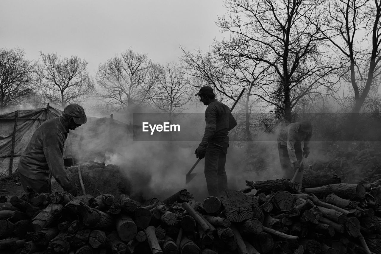 Panoramic view of man making charcoal trees in the forest