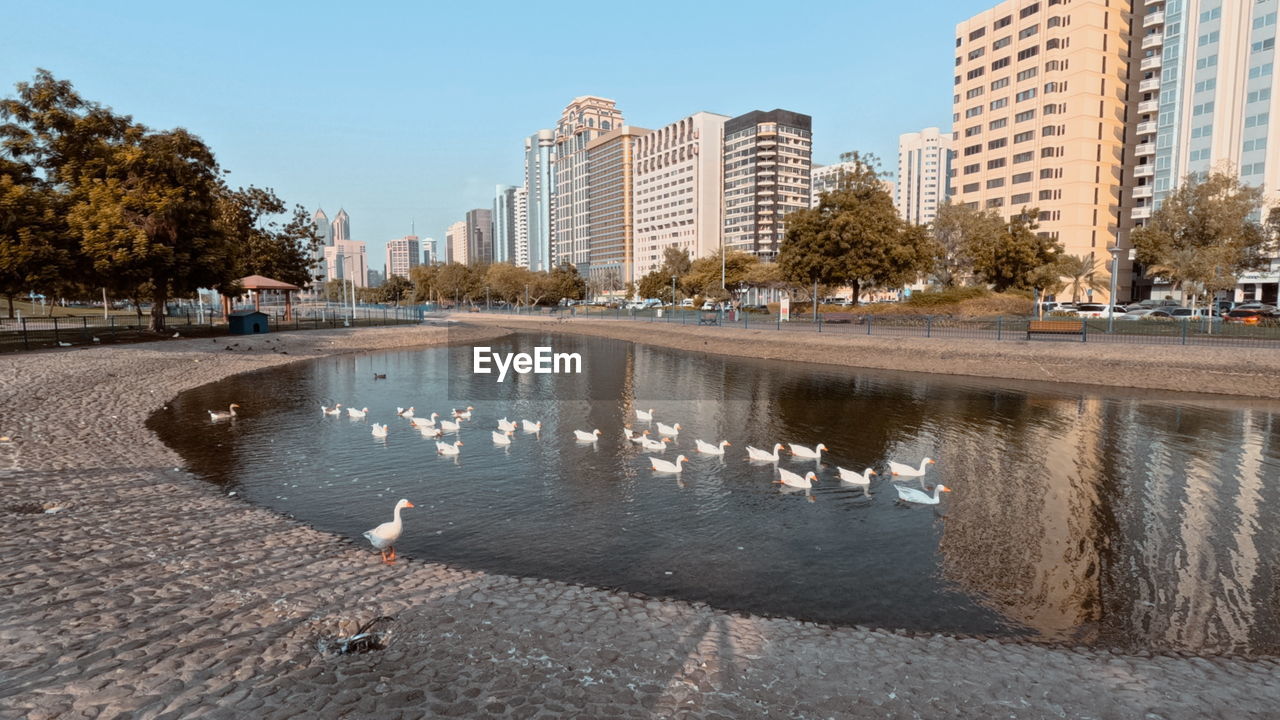 buildings by river against sky