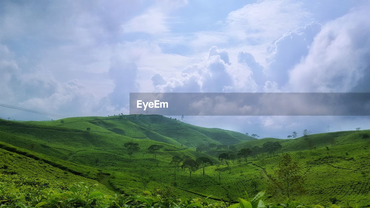 PANORAMIC SHOT OF LANDSCAPE AGAINST SKY