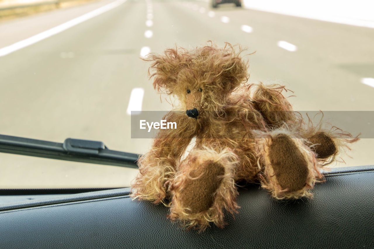 Stuffed toy on dashboard of car