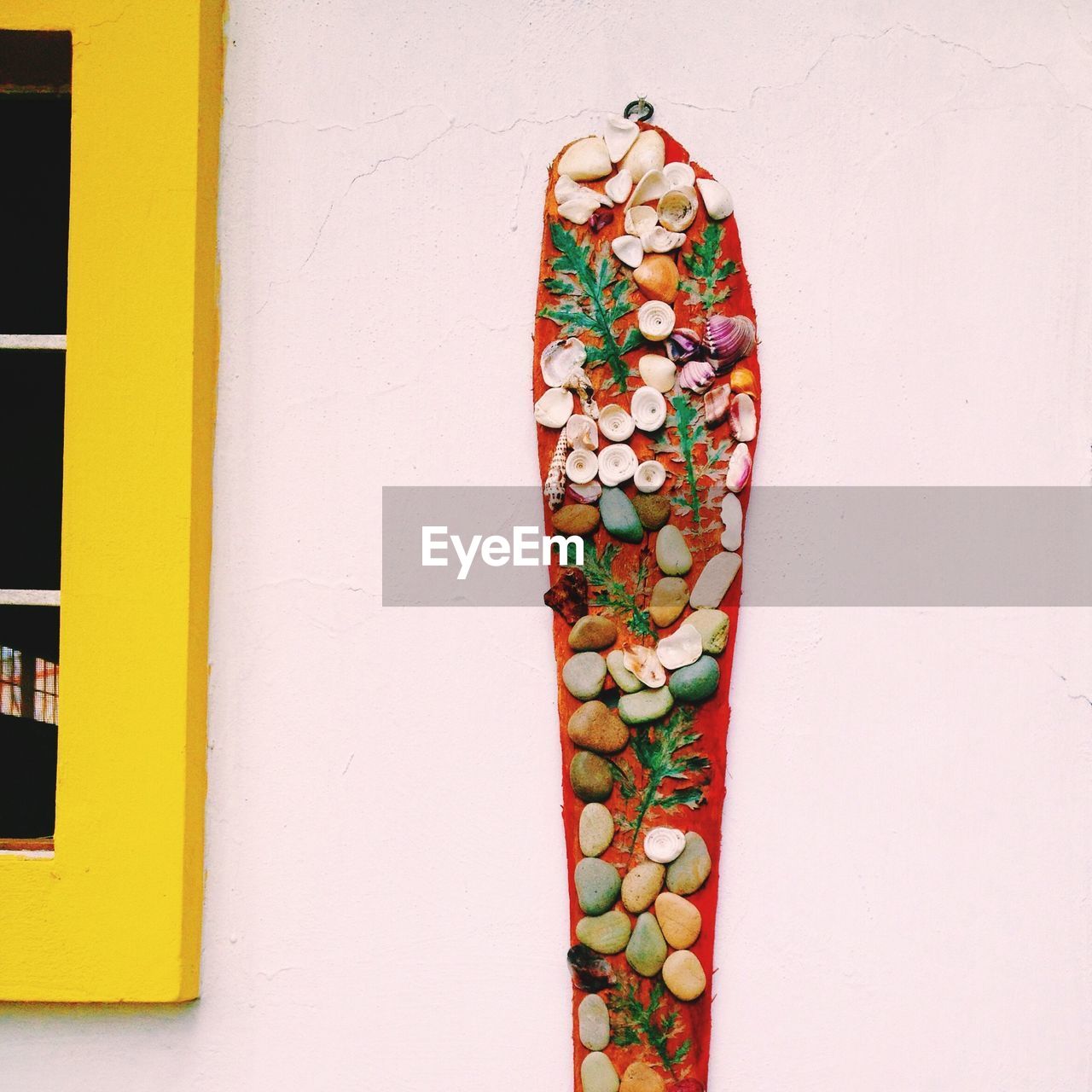 Shells on house wall