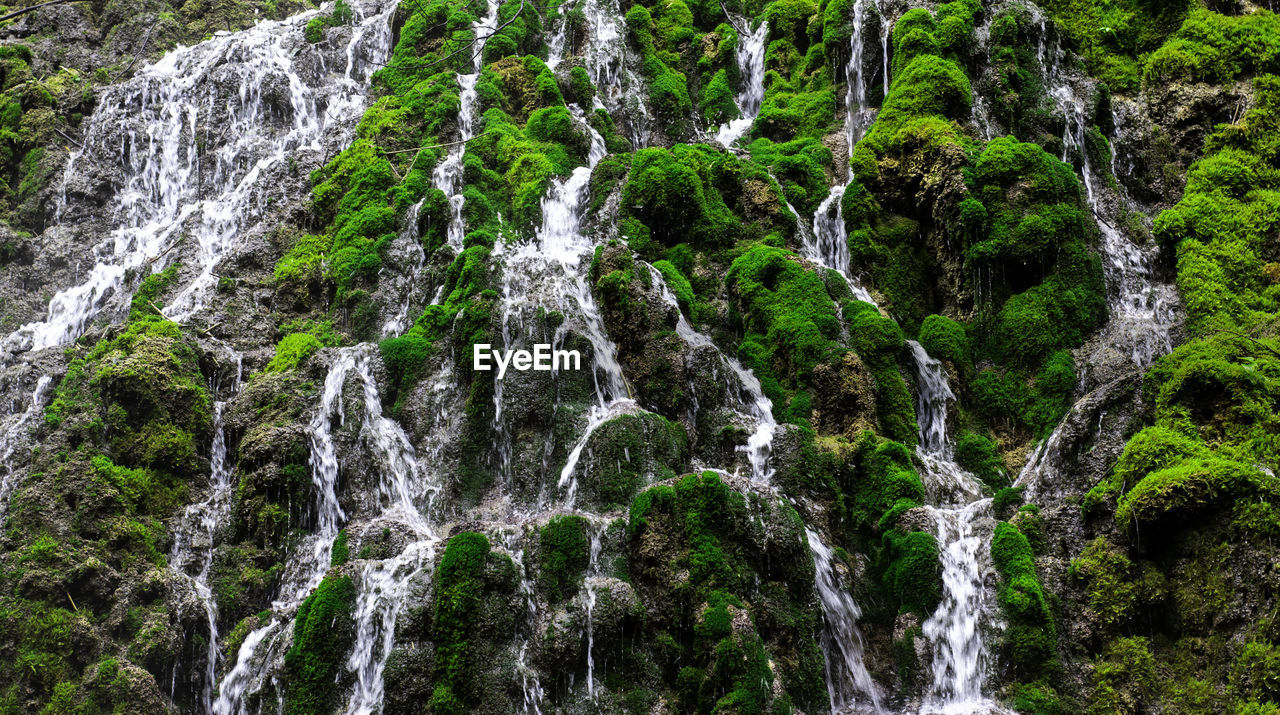 The waterfall is full of green moss and has clear water