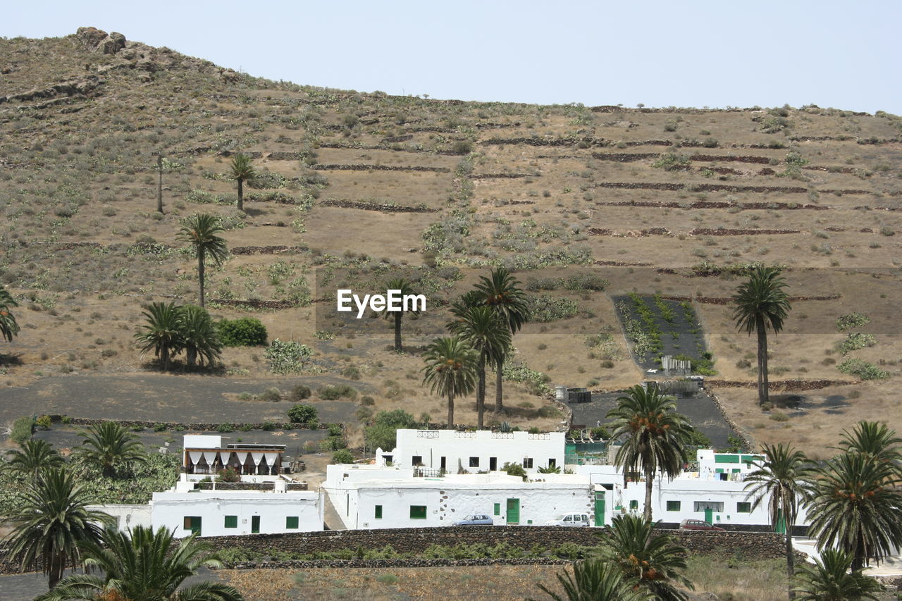 VIEW OF BUILDINGS AND PALM TREES