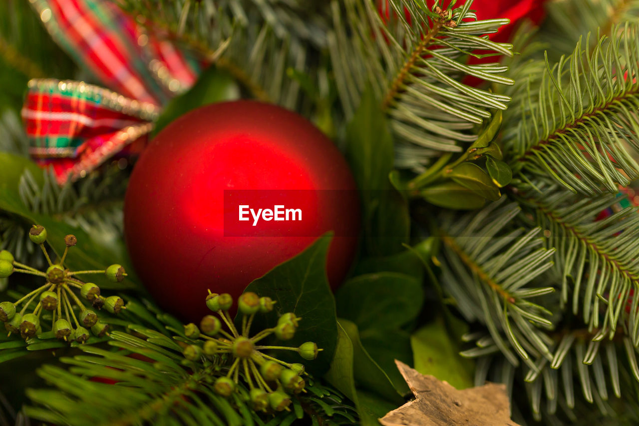 CLOSE-UP OF CHRISTMAS DECORATIONS ON TREE AT NIGHT