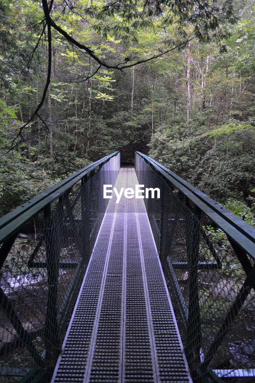 FOOTBRIDGE OVER FOREST