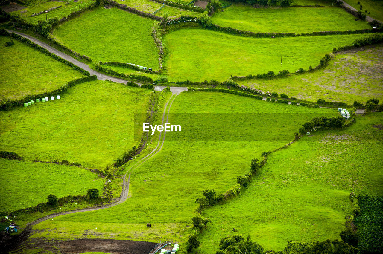 Aerial view of patches of cultivated land and road