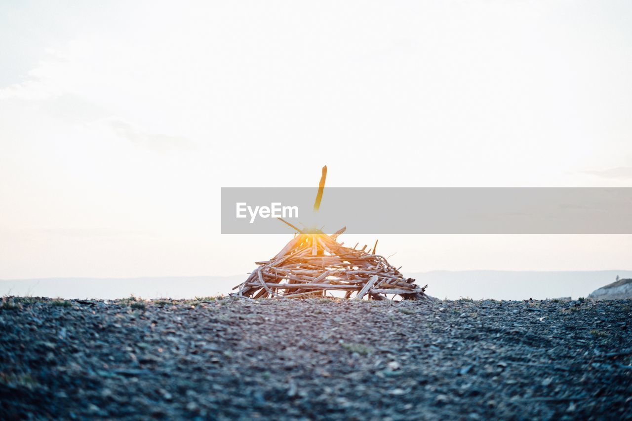 Close-up of crab on beach against sky