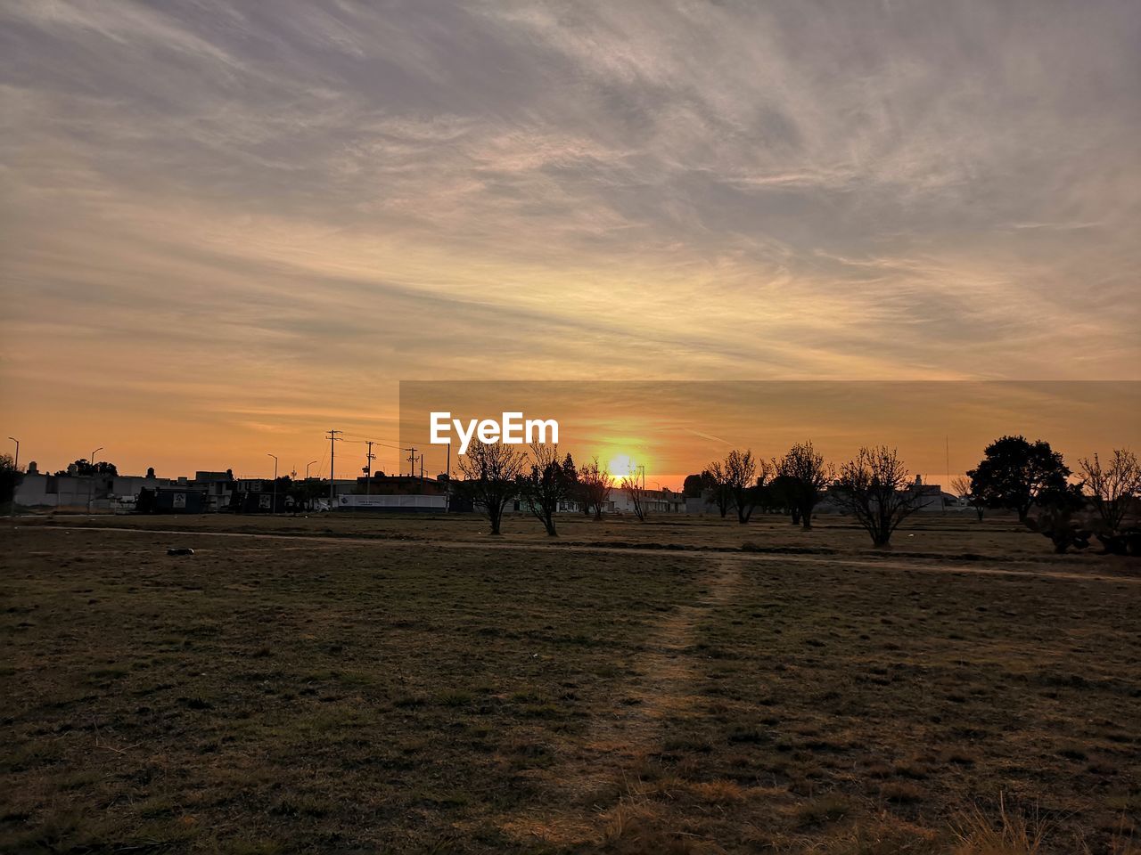 SCENIC VIEW OF FIELD DURING SUNSET