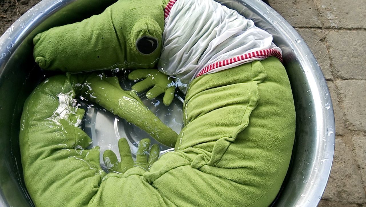 High angle view of green stuffed crocodile toy in water bowl