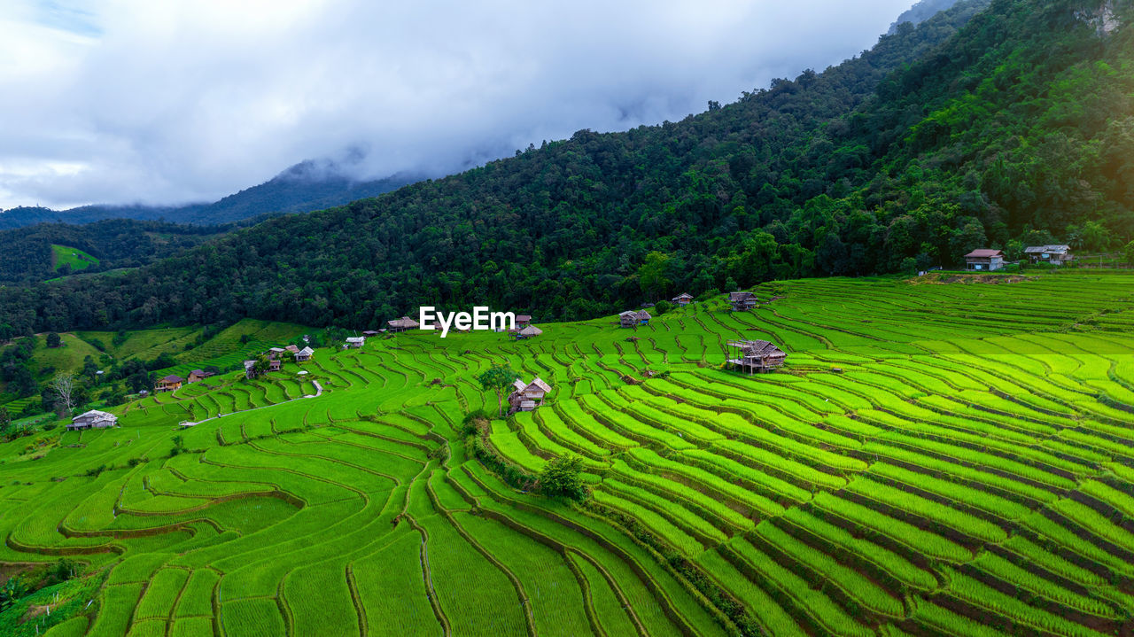 scenic view of agricultural field against mountain