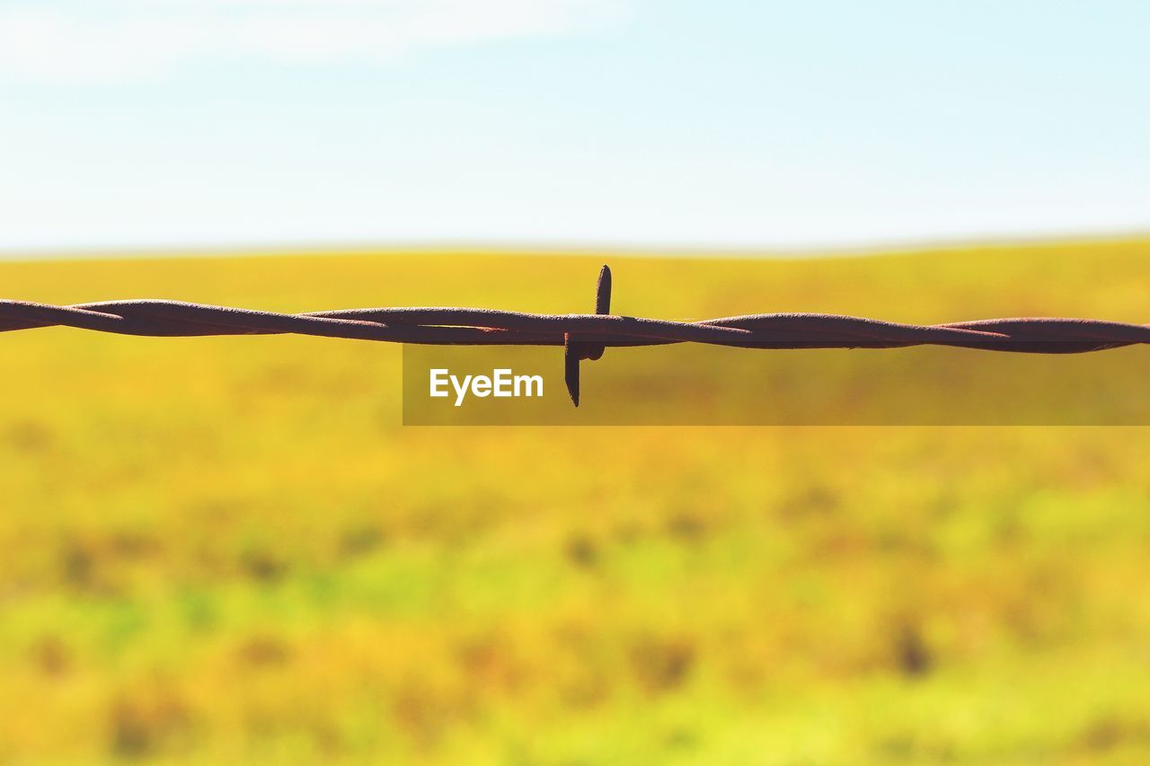 Barbed wire on grassy field against sky