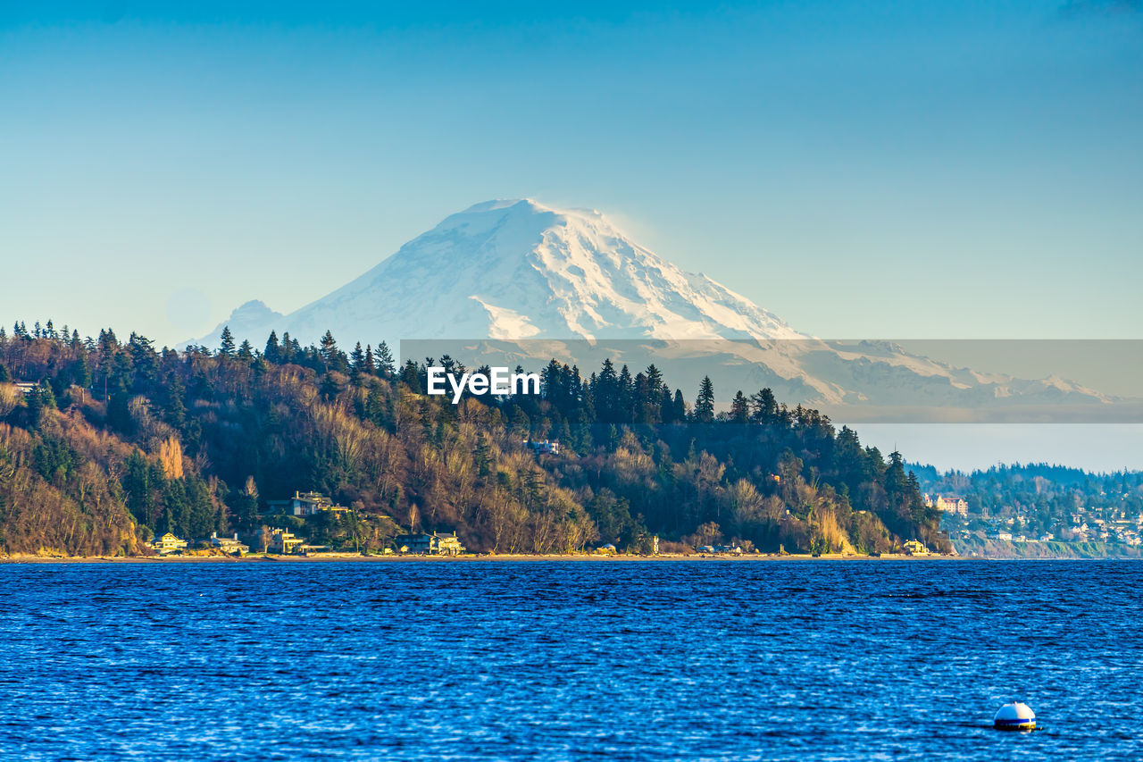 A view of a point with trees and mount rainier in burien, washington.