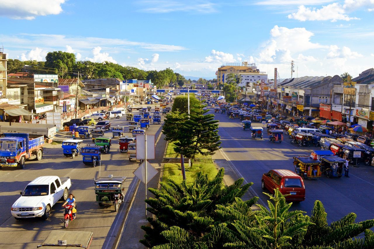 High angle view of trees amidst vehicles on roads