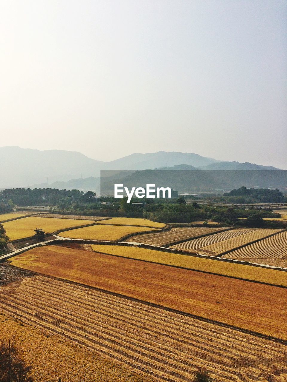 SCENIC VIEW OF FARM AGAINST SKY