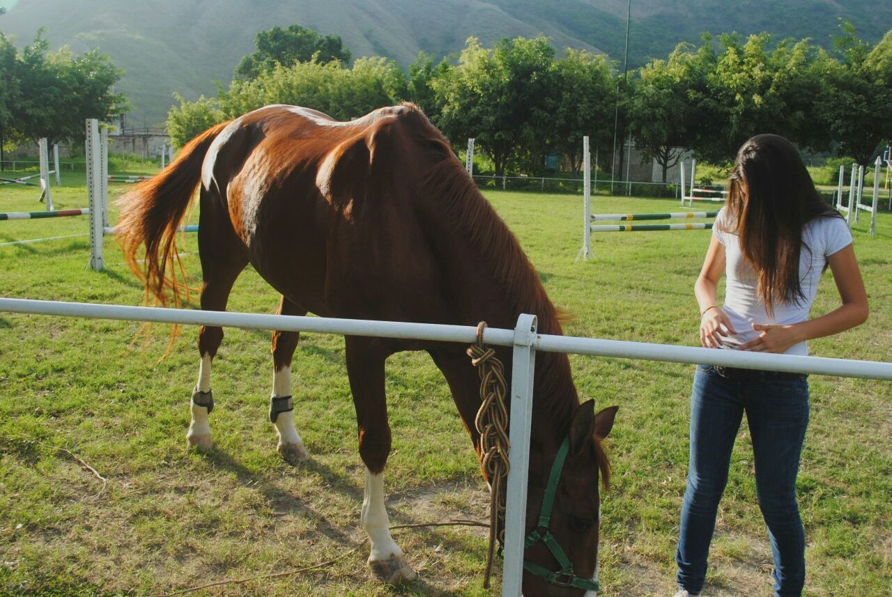 Woman standing by horse in ranch