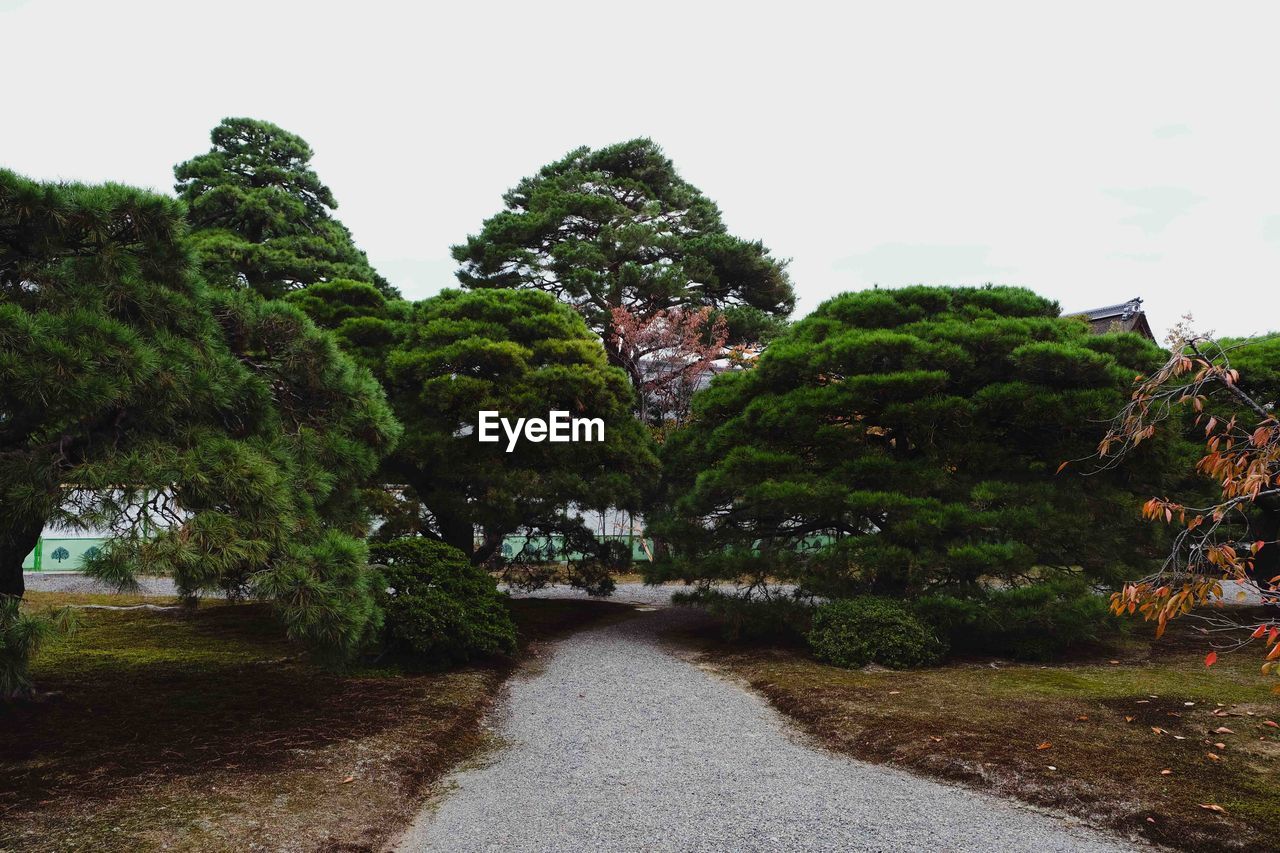 FOOTPATH AMIDST TREES AGAINST SKY