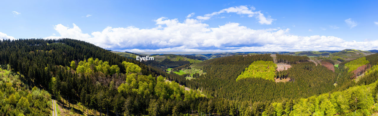 PANORAMIC VIEW OF TREES ON LAND AGAINST SKY