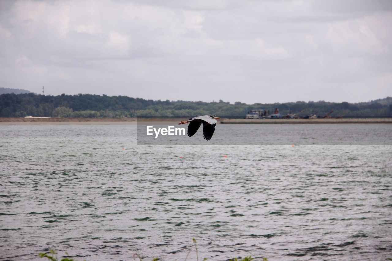 PERSON SWIMMING IN SEA AGAINST SKY