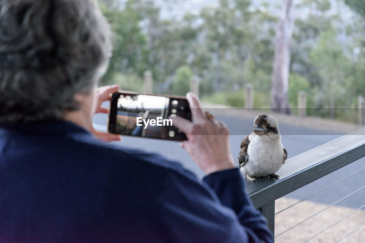 Rear view of woman photographing bird through mobile phone