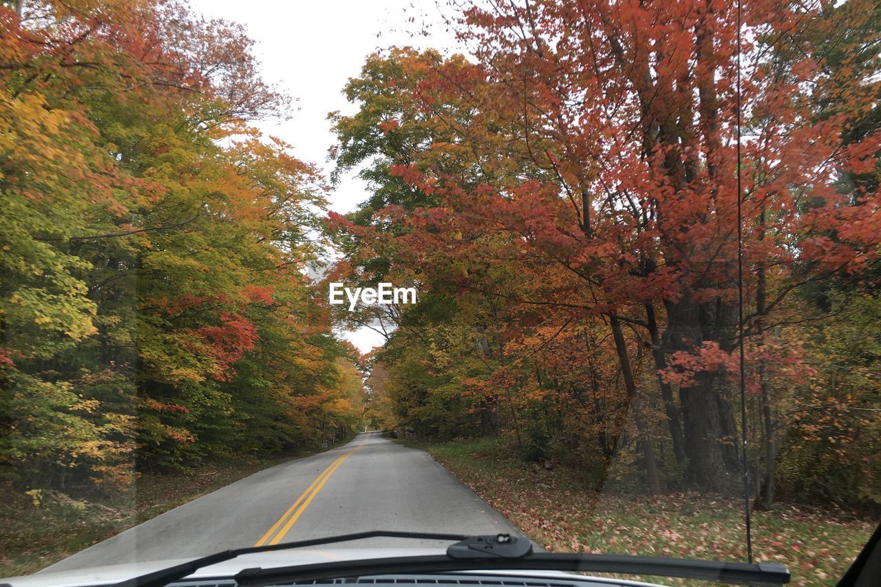 Empty road along trees during autumn