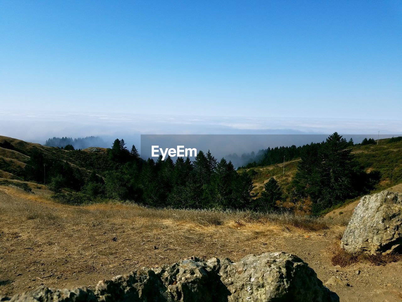 Scenic view of mountains against sky at muir woods national monument