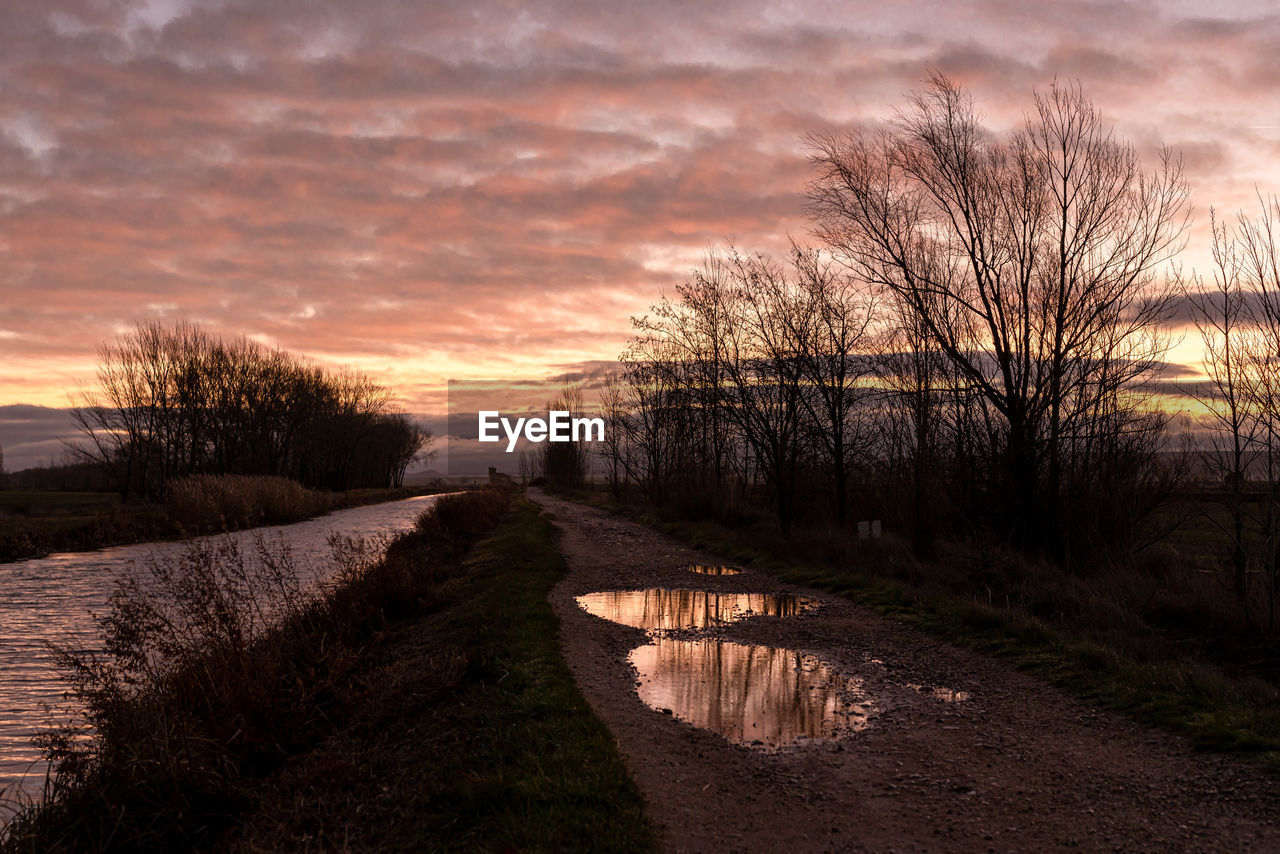 Bare trees on field against sky during sunset