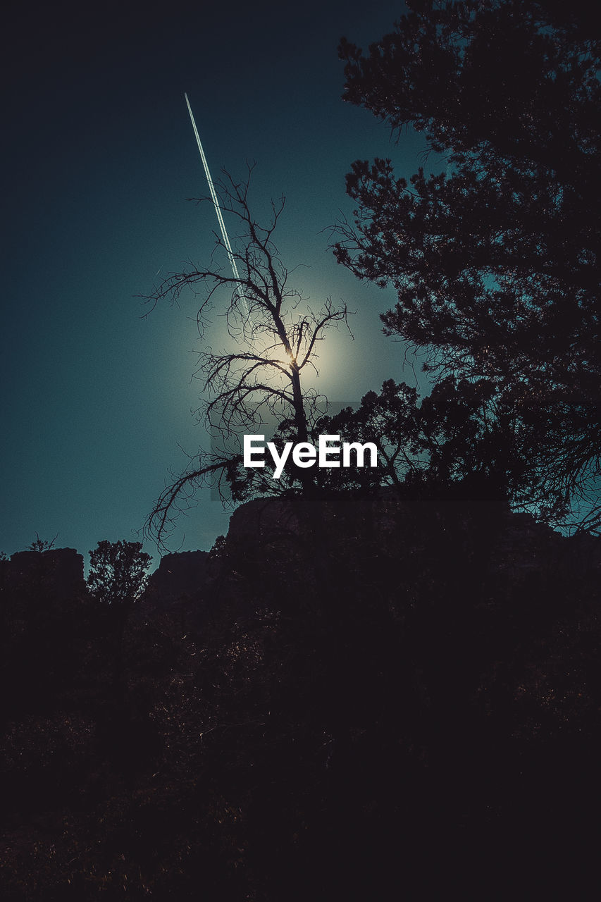 LOW ANGLE VIEW OF SILHOUETTE TREES AGAINST CLEAR SKY