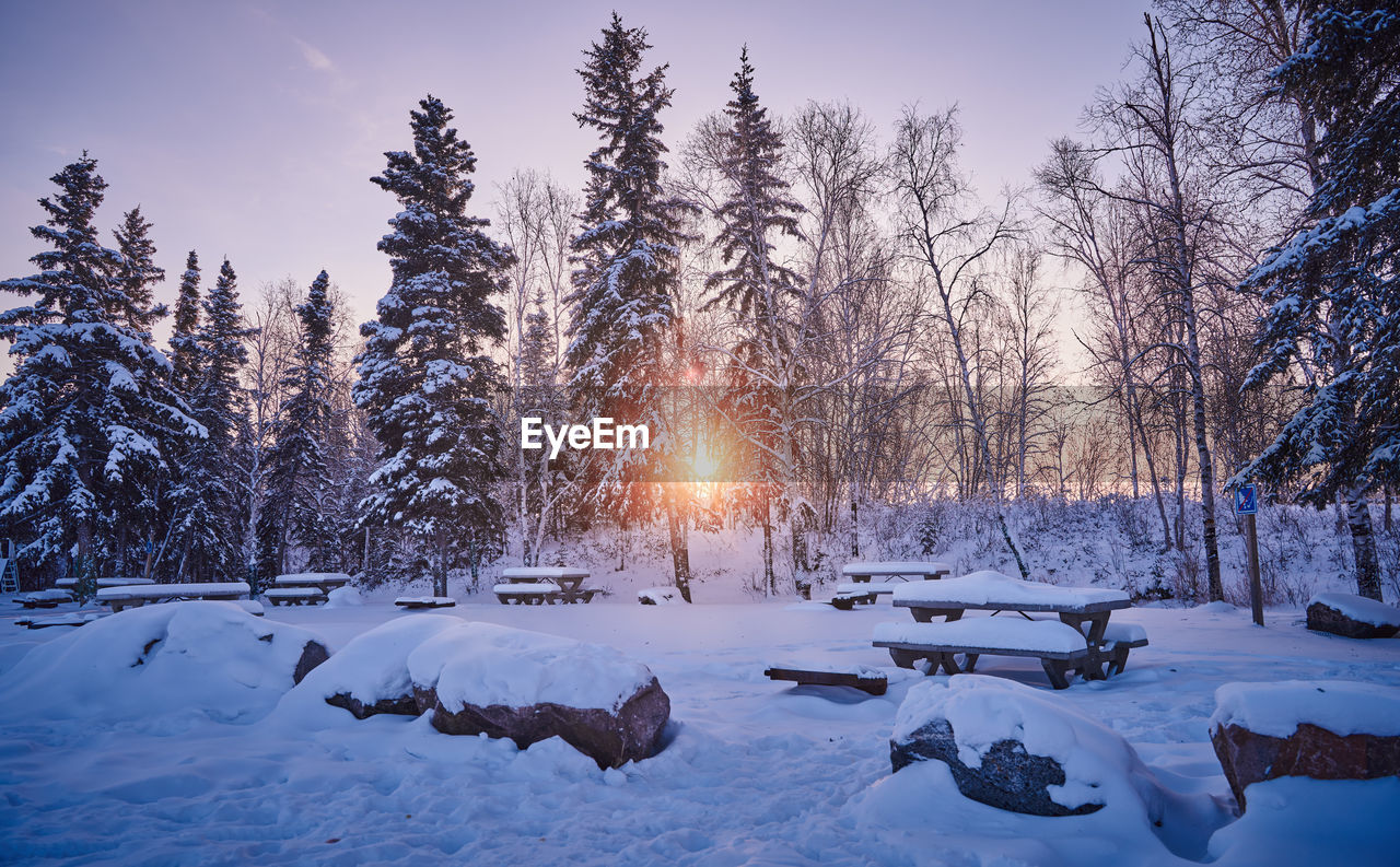 Winter in yellowknife with snow