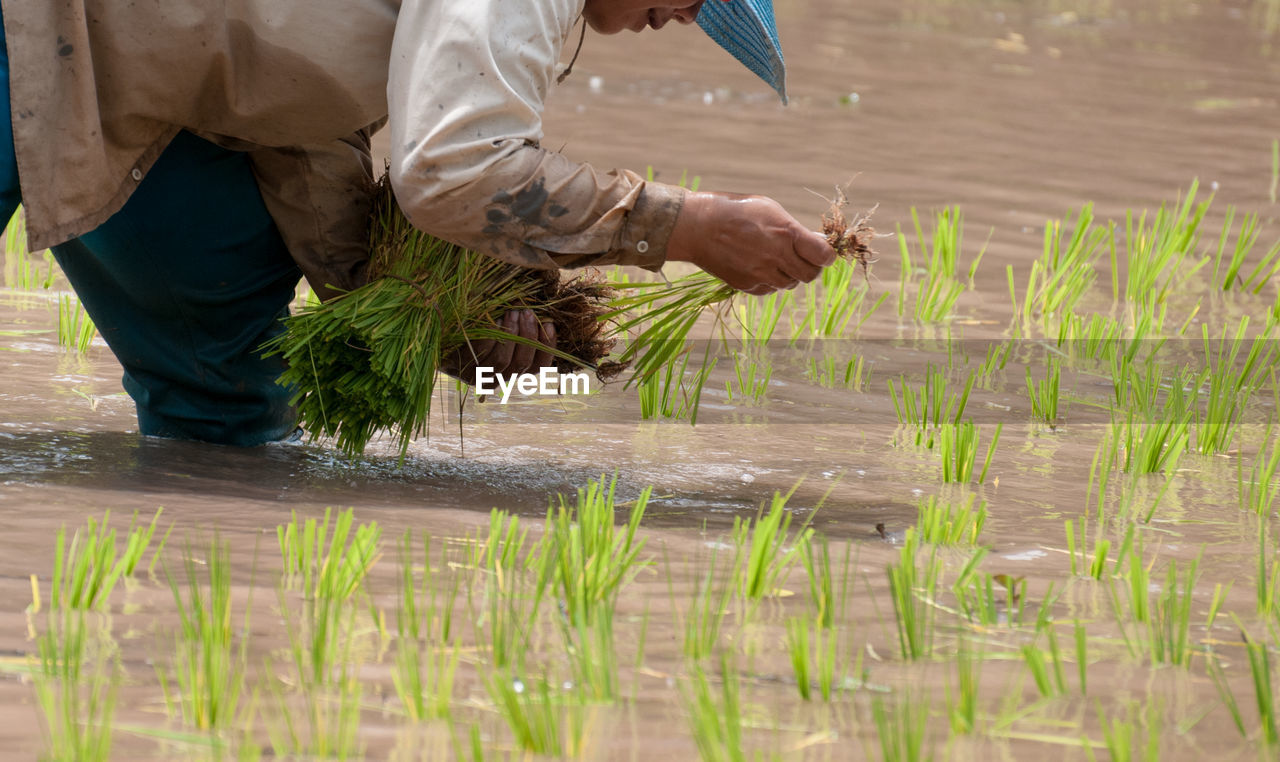 LOW SECTION OF MAN WORKING IN WATER AT FARM