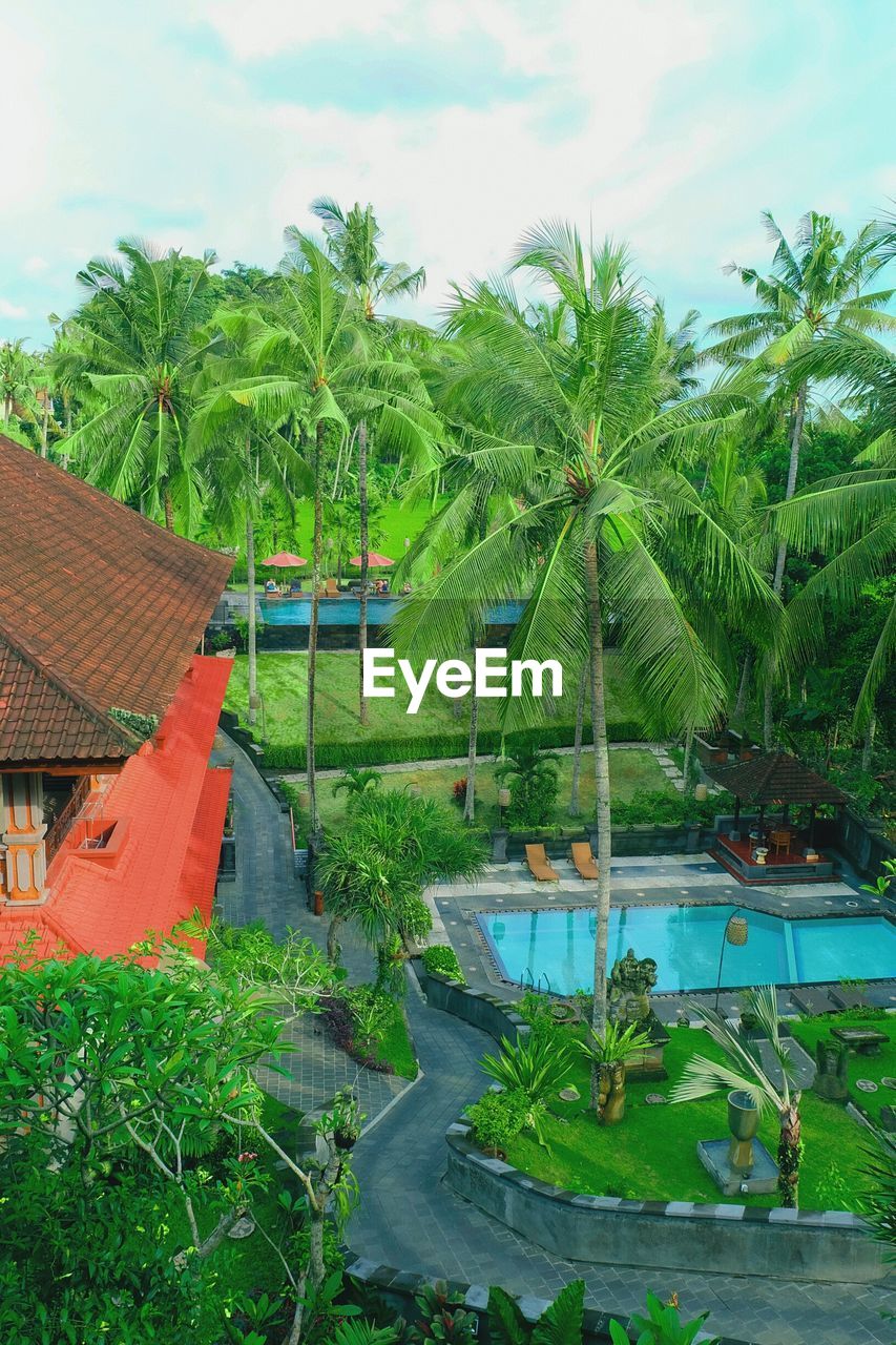 VIEW OF SWIMMING POOL BY PLANTS AGAINST SKY